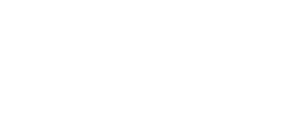 logo dzarovskyweb
